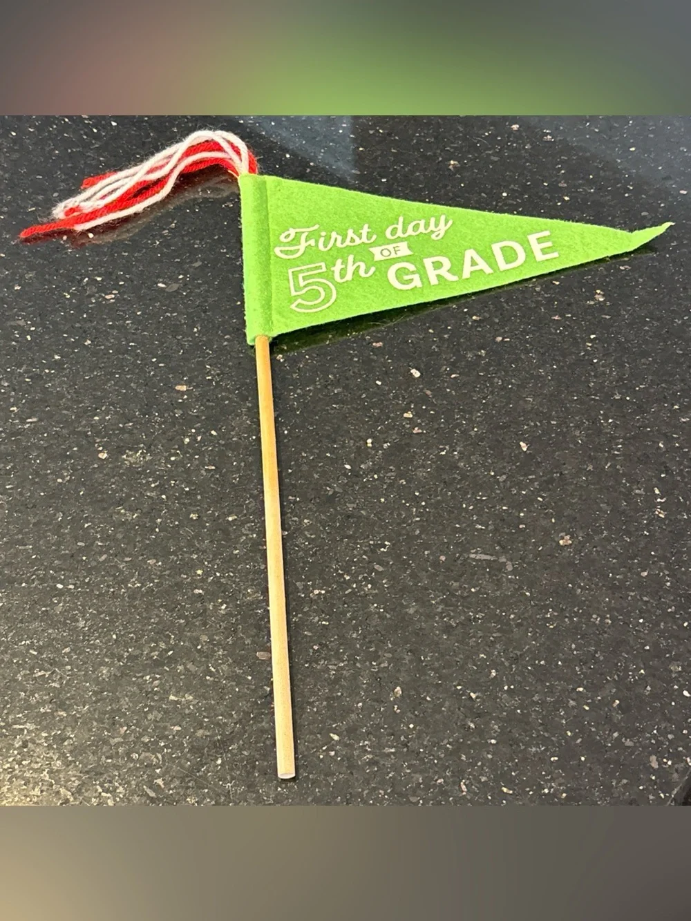 Target Bullseye First Last Day School 5th Grade Felt Pennant Flag NWOT